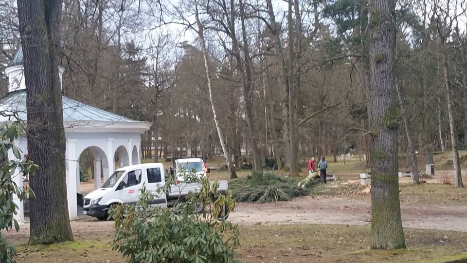 obrázek: Františkovy Lázně: Pozor na padlé stromy v parcích
