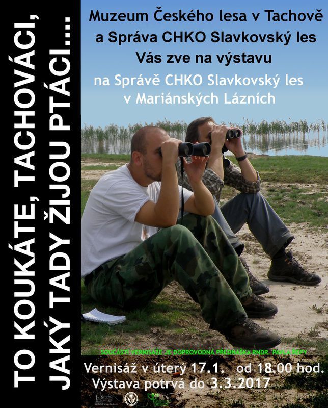 obrázek: Mariánské Lázně: Přijďte se podívat na zajímavou ptačí výstavu Tachováků