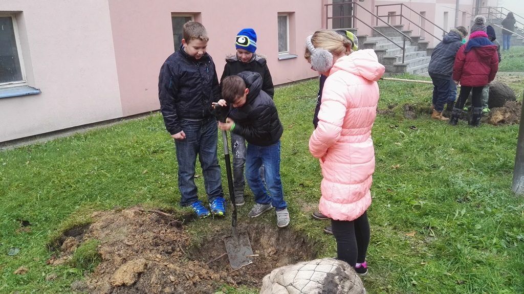 obrázek: Region: Nadace ČEZ startuje grantová řízení