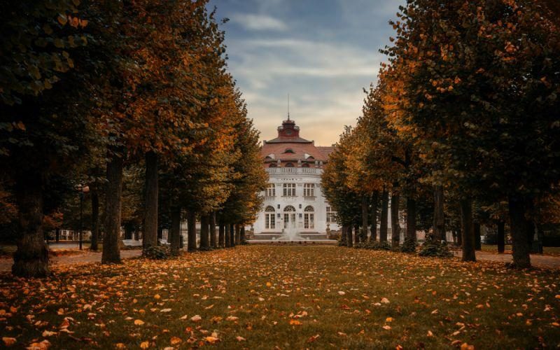 Sokolovské aleje bodují, vyhrály krajské kolo ankety Alej roku 