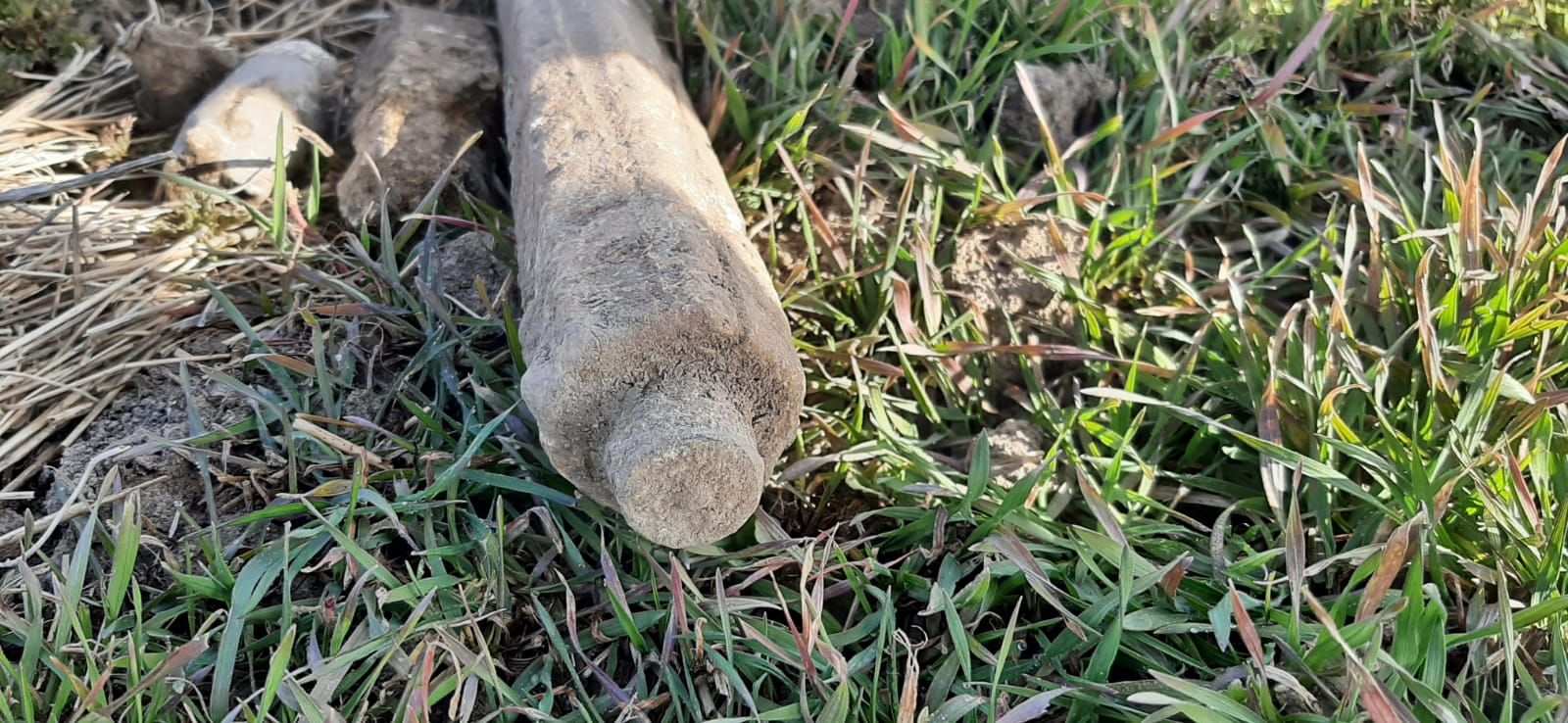 Cheb: Muž nalezl čtyři letecké pumy