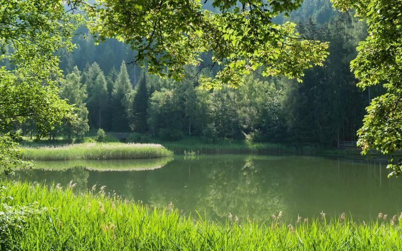 Region: Zelenou hvězdu Karlovarského kraje získaly Lesy Drmoul