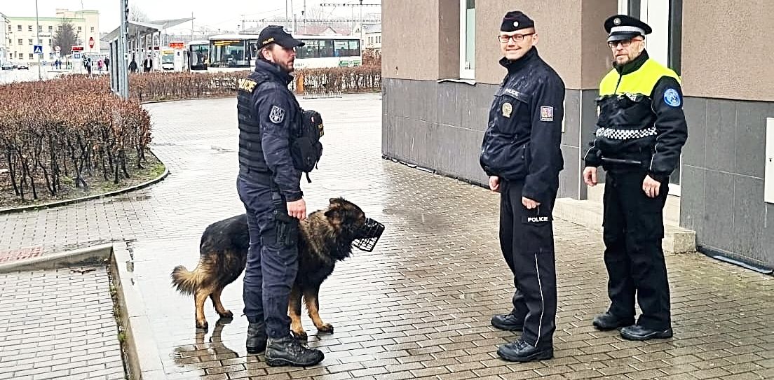 Sokolov: Části města jsou pod dozorem společných hlídek