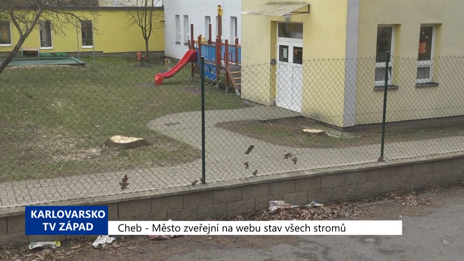 Cheb: Město zveřejní na webu stav všech stromů (TV Západ)