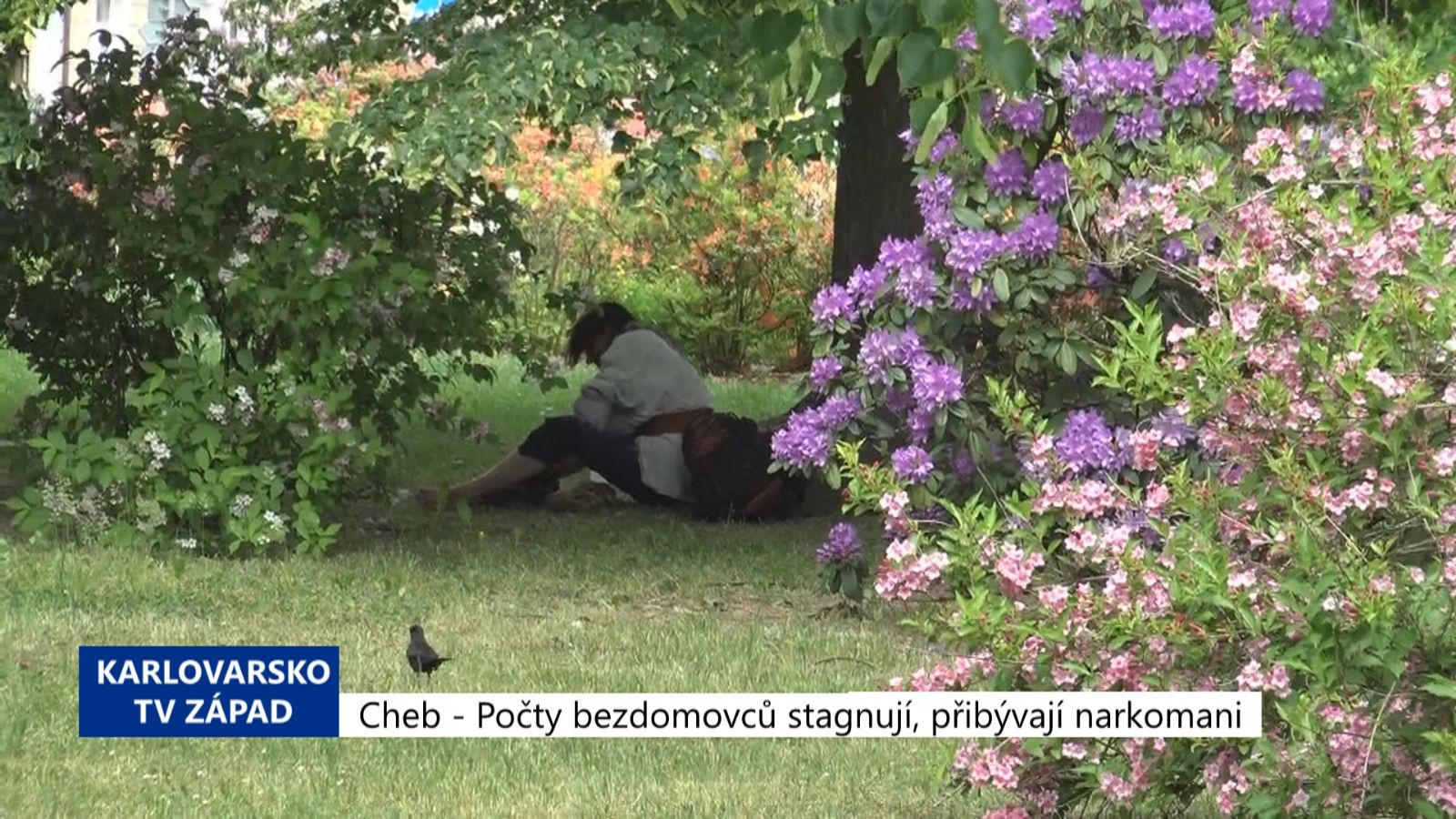 Cheb: Počty bezdomovců stagnují, přibývají narkomani (TV Západ)