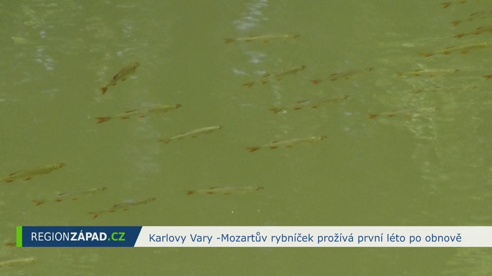 Karlovy Vary: Mozartův rybníček prožívá první léto po obnově (TV Západ)