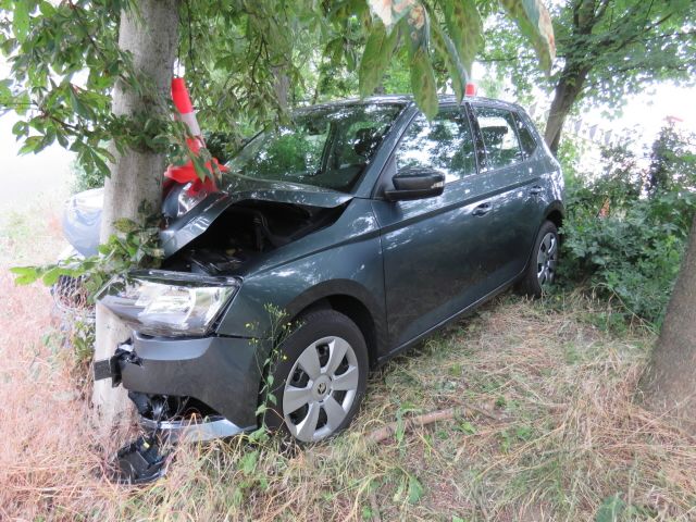 obrázek: Karlovy Vary: Zaparkované auto se rozjelo a narazilo do stromu