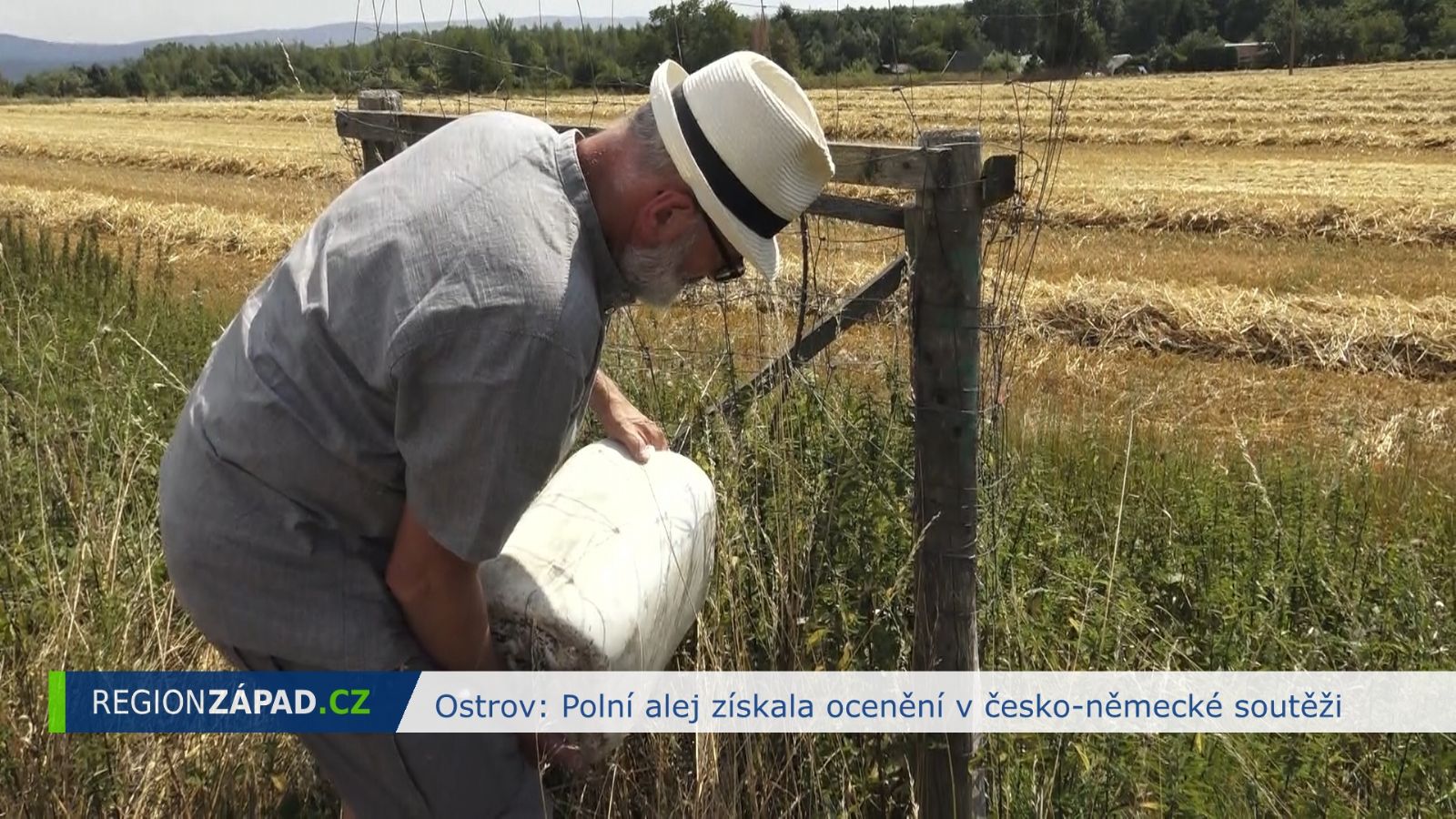 Ostrov: Polní alej získala ocenění v česko-německé soutěži (TV Západ)