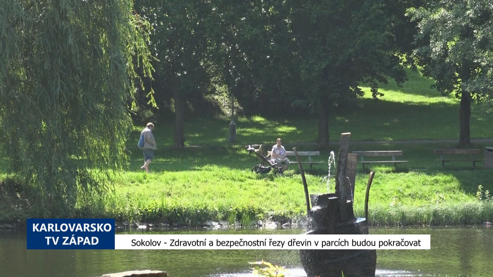 Sokolov: Zdravotní a bezpečnostní řezy dřevin v parcích budou pokračovat (TV Západ)