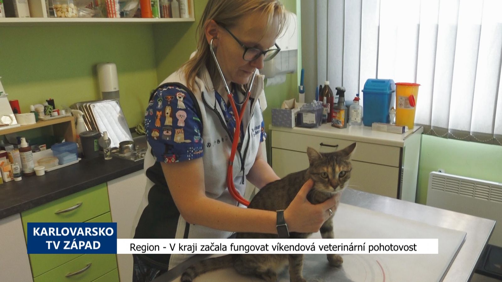 V kraji začala fungovat víkendová veterinární pohotovost (TV Západ)