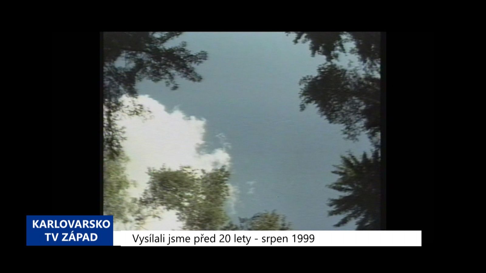 1999 - Cheb: Chystá se jednání o lesích v Německu (TV Západ)