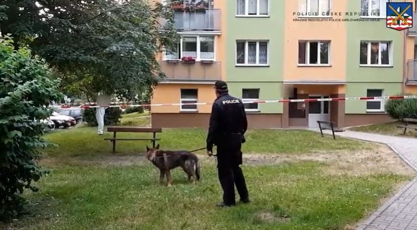 Aš: Napadená žena musela být ošetřena v nemocnici