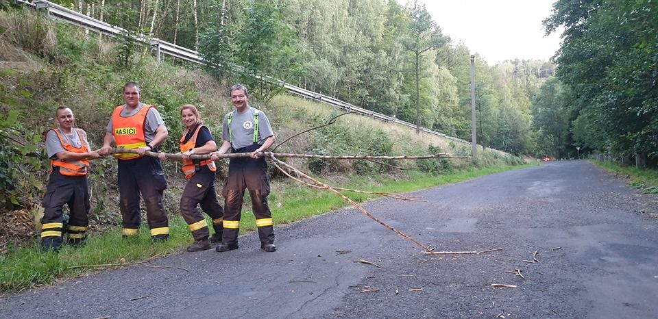 Boč, Srní: Hasiči byli vysláni k odstranění padlého stromu na silnici