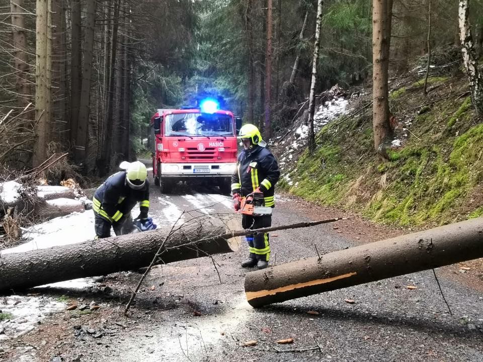 obrázek: Boží Dar: Město zakázalo vstup do obecních lesů