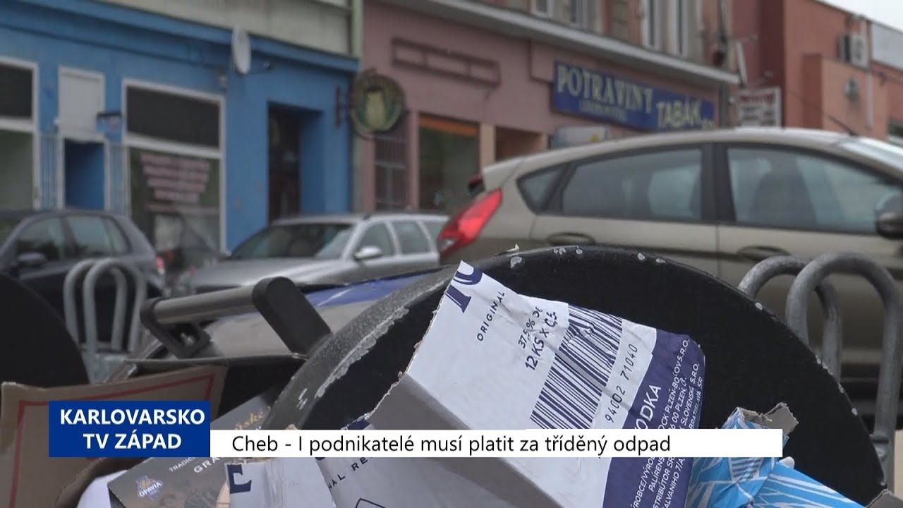 Cheb: I podnikatelé musí platit za tříděný odpad (TV Západ)