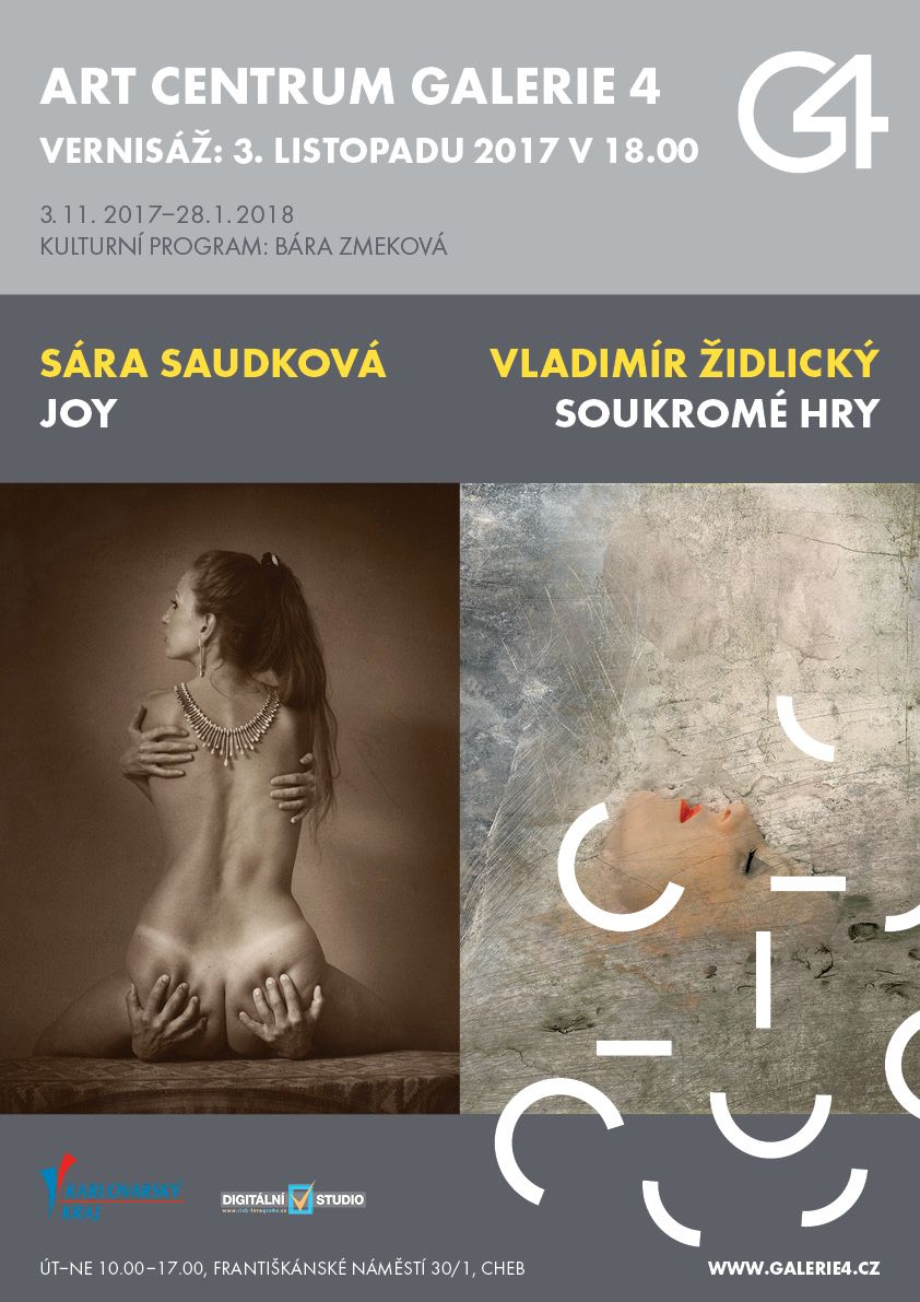 obrázek: Cheb: Výstavou s Vladimírem Židlickým oslaví své životní jubileum Sára Saudková