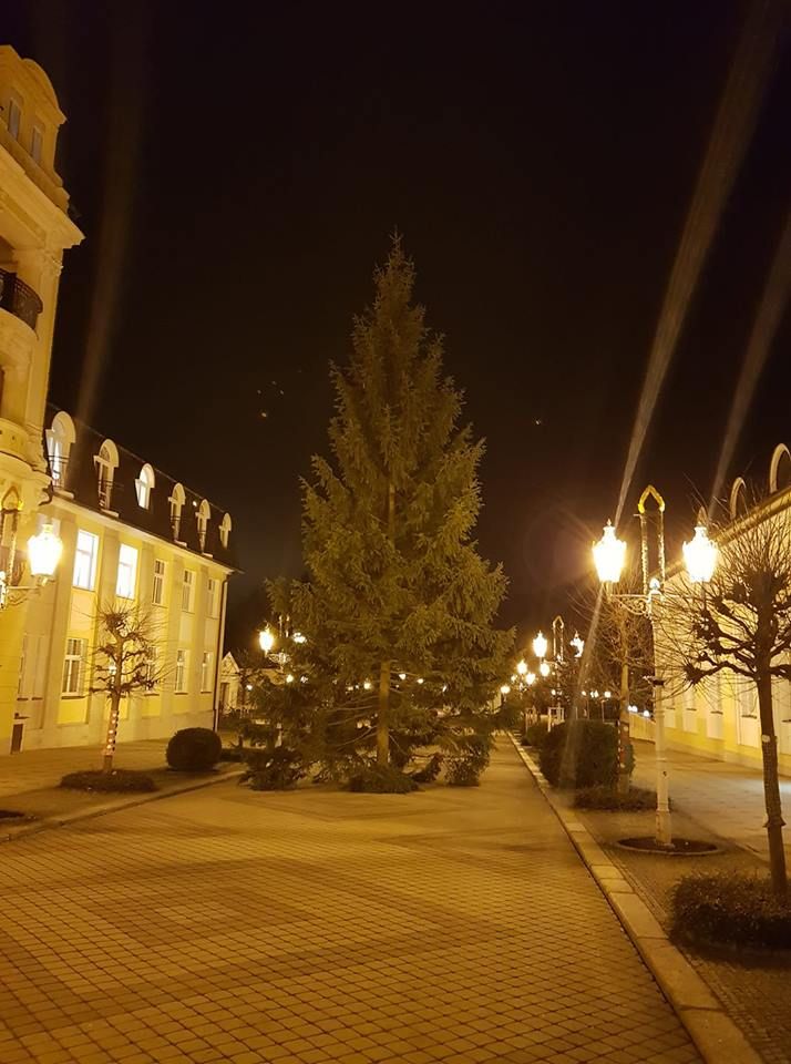 Františkovy Lázně: Město se již pyšní vánočním stromem