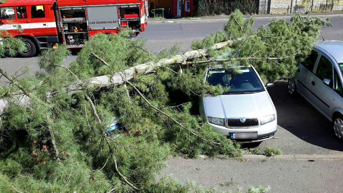 obrázek: Hranice: Na několik zaparkovaných aut spadl strom
