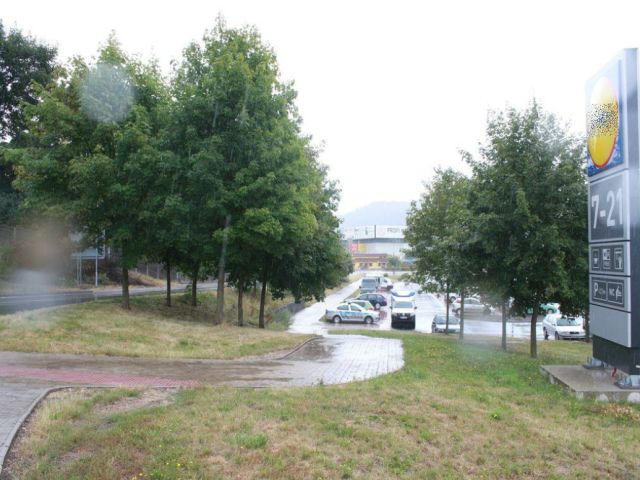 obrázek: Karlovy Vary: Navrtal stromy a vlil do nich tekutinu