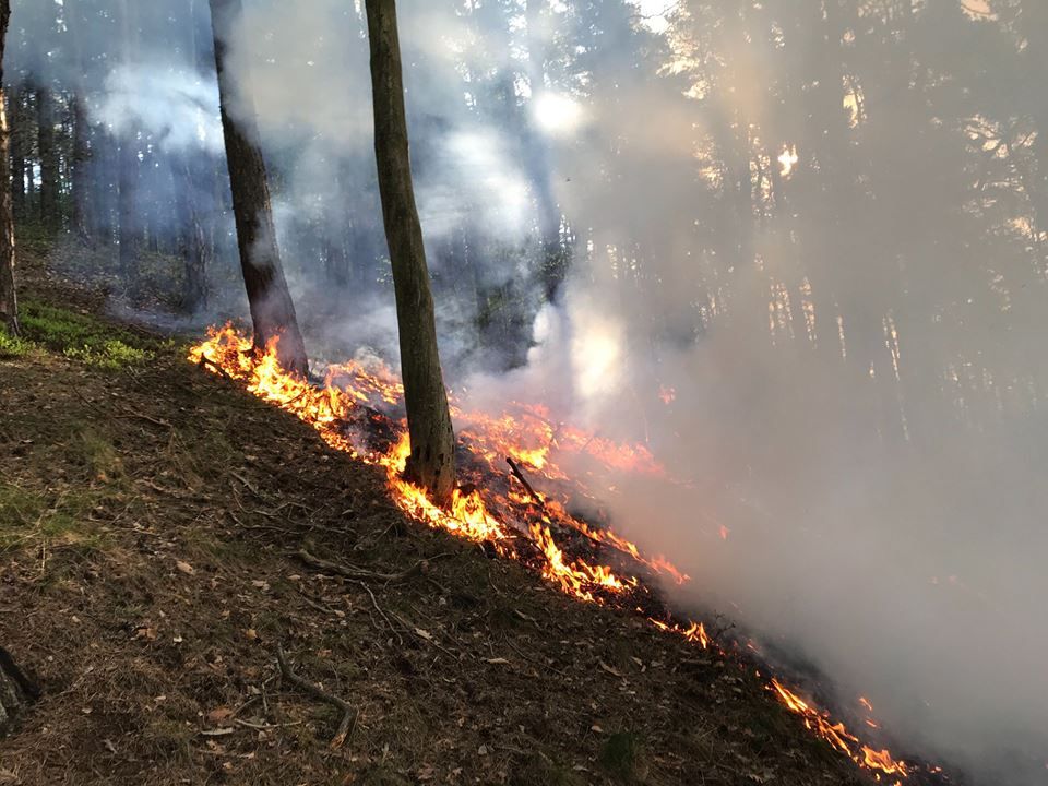 obrázek: Karlovy Vary: Od rána likvidují hasiči požár lesa