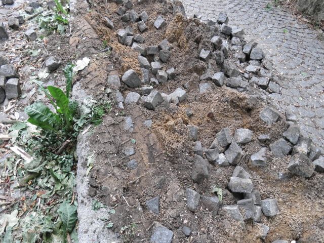 obrázek: Karlovy Vary: Policie hledá svědky dopravní nehody. Došlo ke značnému poškození chodníku