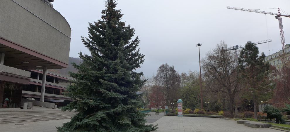 Karlovy Vary: Symbol Vánoc už je na místě