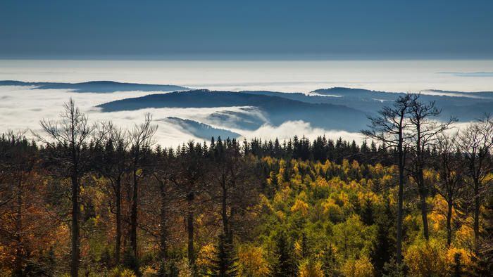 Kraj poskytne dotaci na základní vyznačení Krušnohorské Hřebenovky