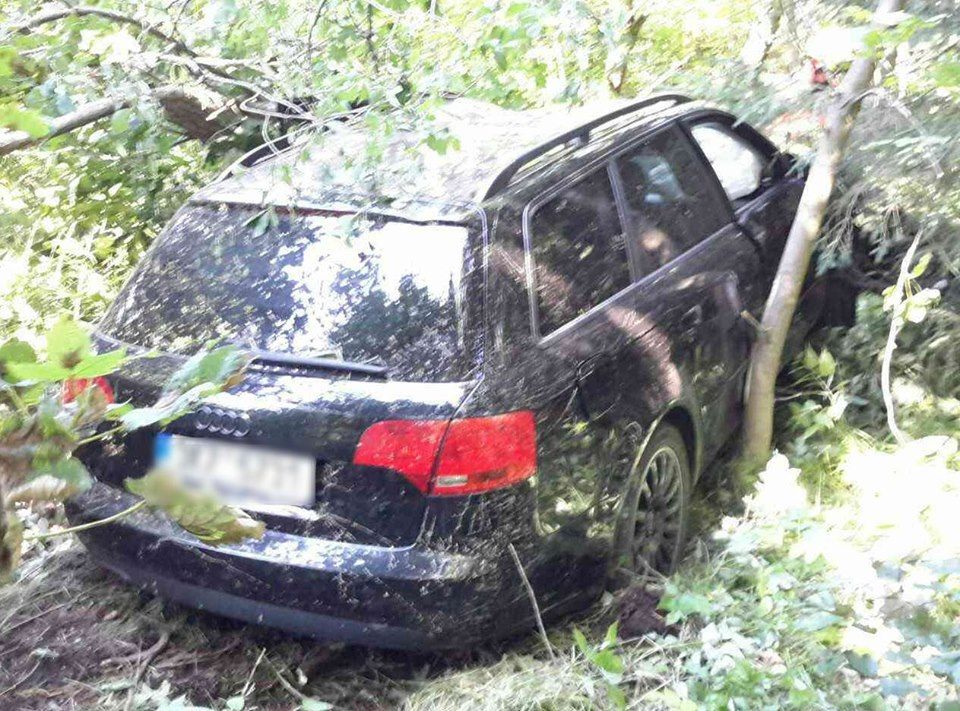obrázek: Kraslice: Osobní vozidlo skončilo mezi stromy