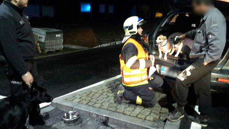 Mariánské Lázně: V opuštěném havarovaném vozidle byli nalezeni tři psi