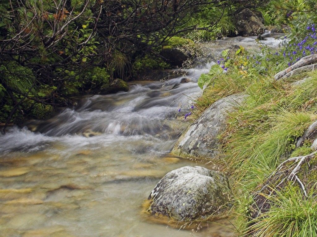 Mariánské Lázně: Zákaz odebírání vody z Úšovického potoka