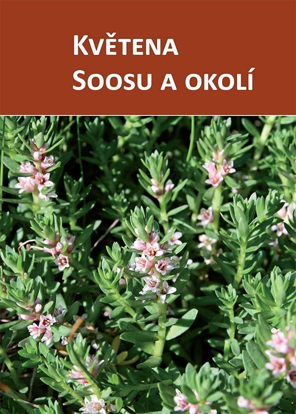 Muzeum Cheb získalo prestižní ocenění