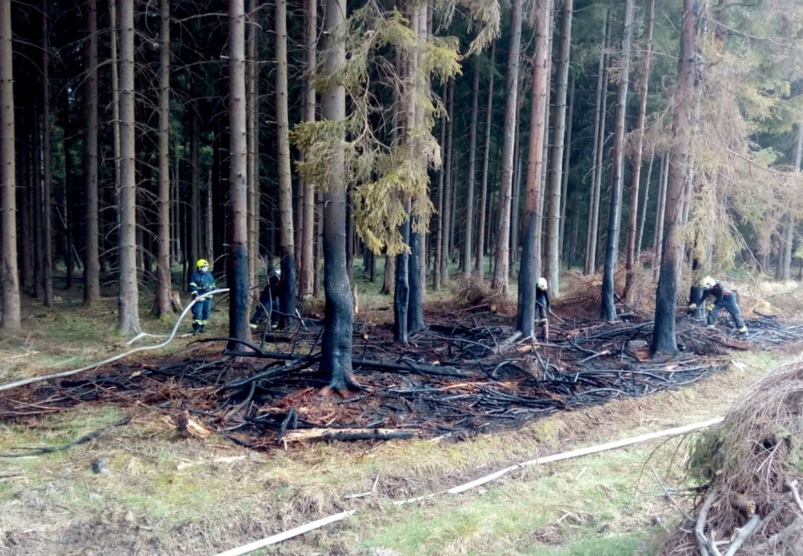 obrázek: Region: Lesních požárů přibývá. Může dojít i na zákaz rozdělávání ohňů