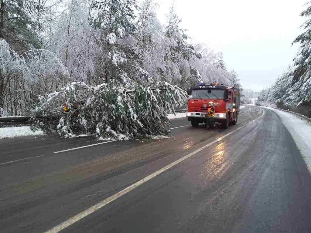 obrázek: Region: Stromy blokovaly silnice