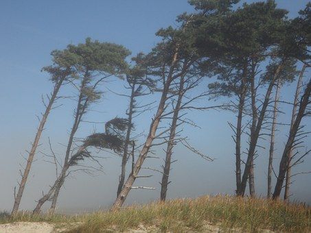 Region: Výstraha před silným větrem