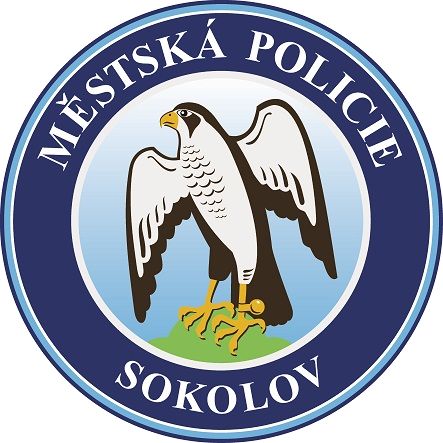 Sokolov: Chtěl spáchat sebevraždu oběšením. Strážnící mu zachránili život 