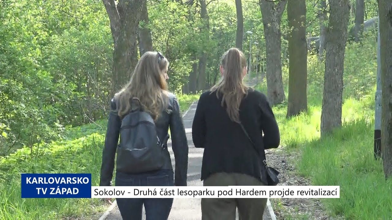 Sokolov: Druhá část lesoparku pod Hardem projde revitalizací (TV Západ)