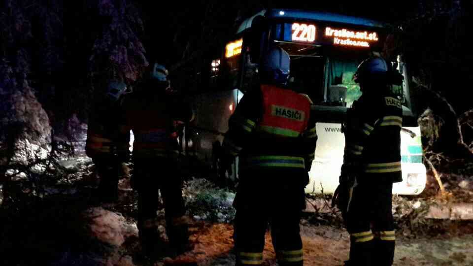 obrázek: Sokolovsko: Autobus narazil do stromu