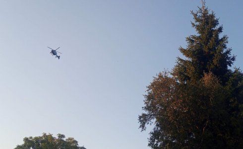 obrázek: V okolí Božídarského Špičáku proběhlo pátrání po pohřešované 73leté houbařce