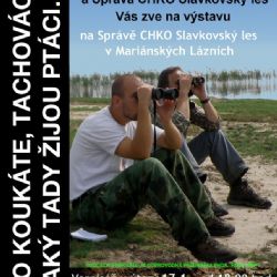 Mariánské Lázně: Přijďte se podívat na zajímavou ptačí výstavu Tachováků