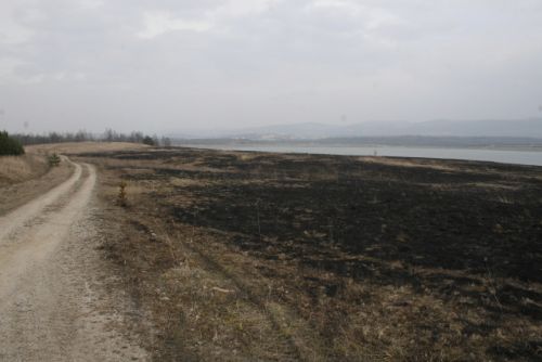 Obrázek - Sokolovsko: Policisté dopadli žháře z Medardu