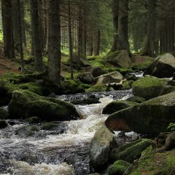 Objevte krásy a zajímavosti Ašska