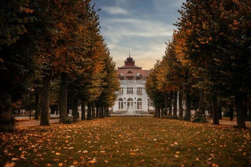 obrázek:Sokolovské aleje bodují, vyhrály krajské kolo ankety Alej roku 