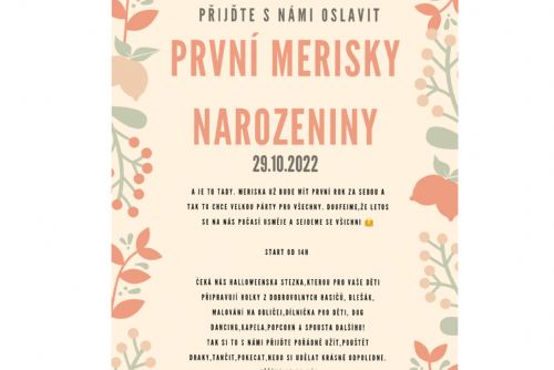 Obrázek - 