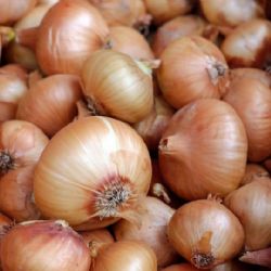 Aš: V sobotu proběhnou ve městě farmářské trhy