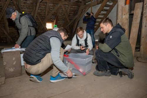 Foto: Cheb: Cheb bude hostit tesařské učně, kteří se budou seznamovat s technikou starých řemesel