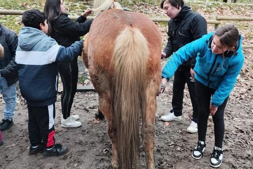Foto: Cheb: Hurá za zážitky a dobrodružstvím