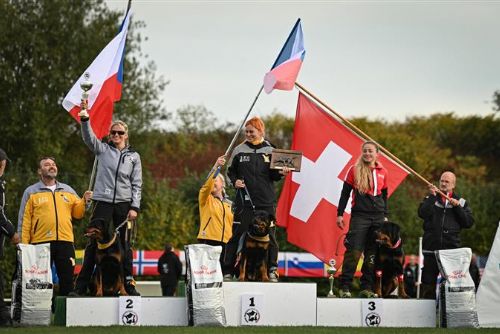 Foto: Cheb: Rottweilerka Adele Savalero získala 2. místo na Mistrovství světa rottweilerů