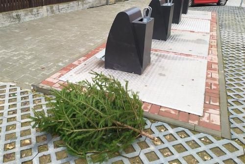 Foto: Cheb: Vánoční stromky stačí odložit k popelnicím