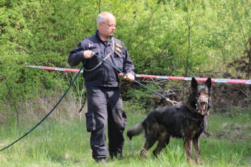 Foto: Chebsko: Muž byl v pořádku vypátrán ve vysoké trávě