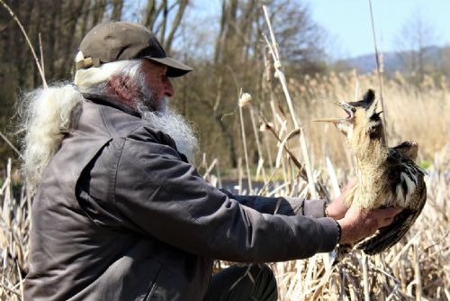 Foto: Chodov: Město opět pomůže se záchranou handicapovaných zvířat